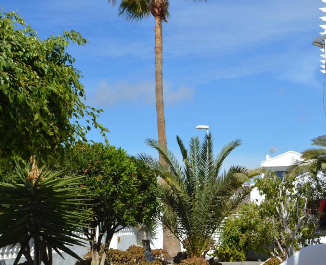 Lava Teneguia, 5 Guests In 2 Bedrooms location